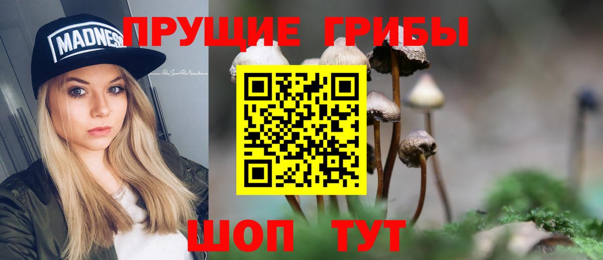 Псилоцибиновые грибы мицелий  Галлюциногенные грибы GOLDEN TEACHER  Вход с VPN  Энгельс 